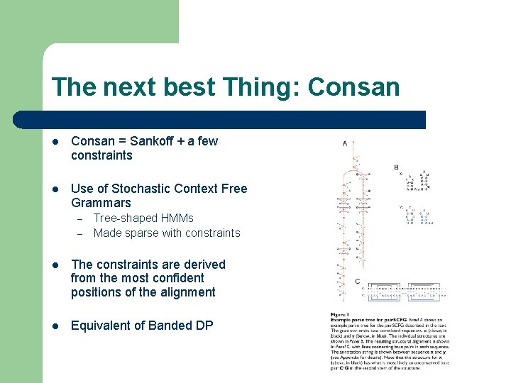 The next best Thing: Consan l Consan = Sankoff + a few constraints l