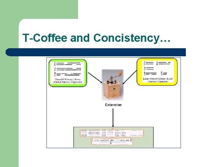 T-Coffee and Concistency… 