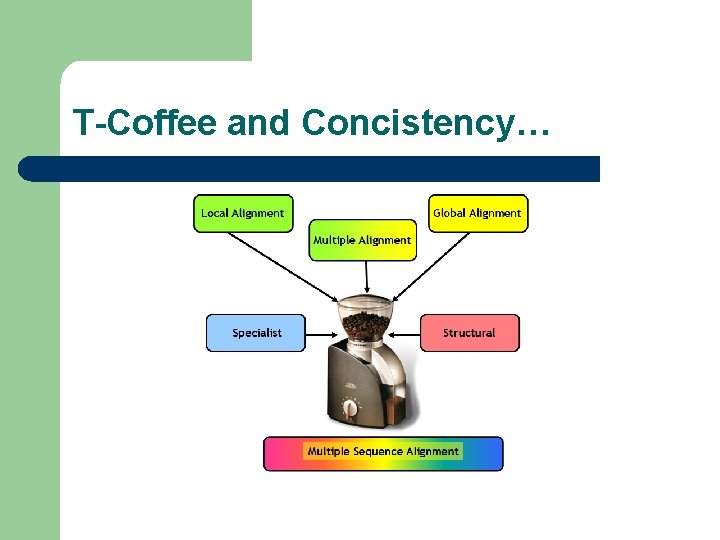 T-Coffee and Concistency… 