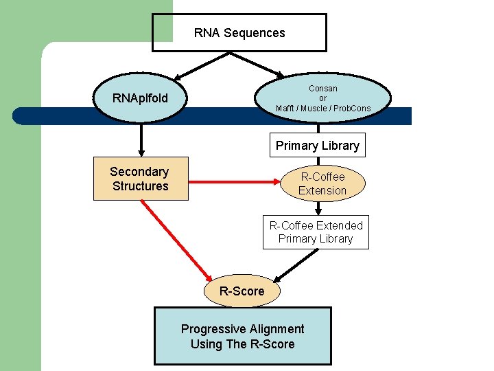 RNA Sequences Consan or Mafft / Muscle / Prob. Cons RNAplfold Primary Library Secondary
