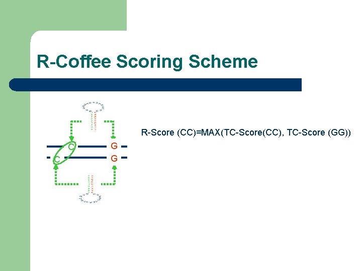 R-Coffee Scoring Scheme R-Score (CC)=MAX(TC-Score(CC), TC-Score (GG)) C C G G 