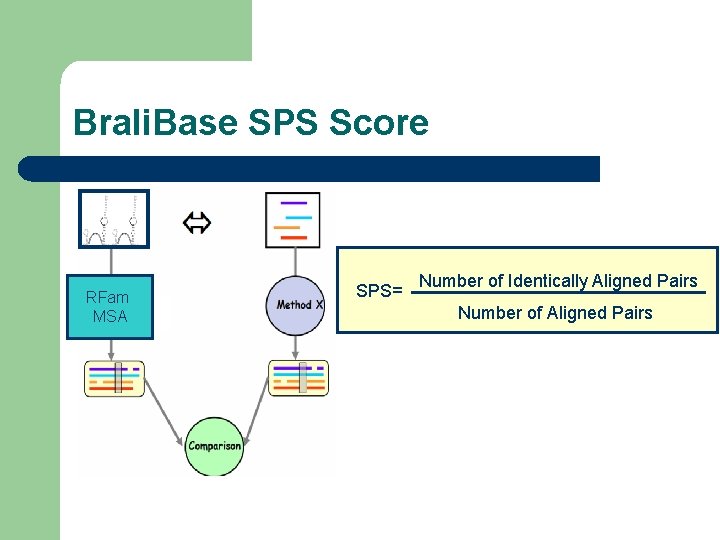 Brali. Base SPS Score RFam MSA SPS= Number of Identically Aligned Pairs Number of