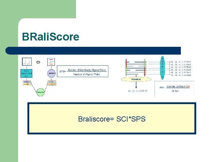 BRali. Score Braliscore= SCI*SPS 