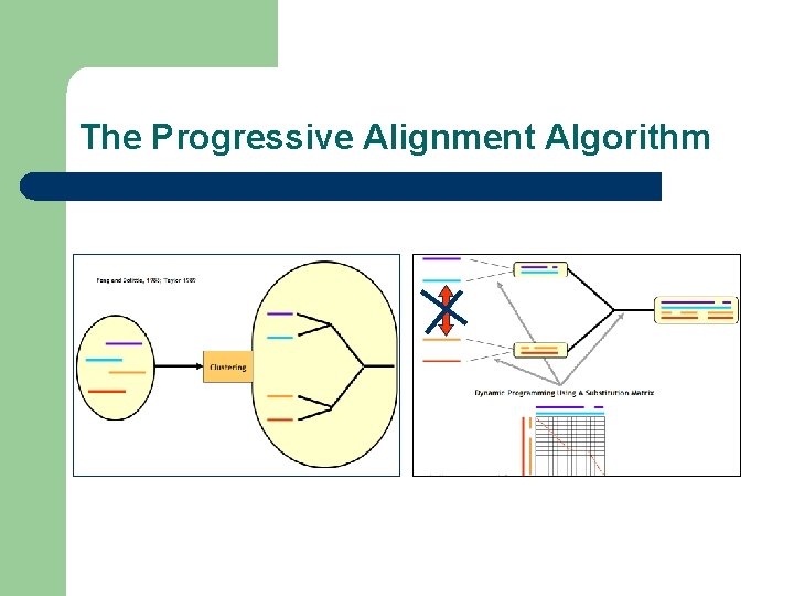 The Progressive Alignment Algorithm 