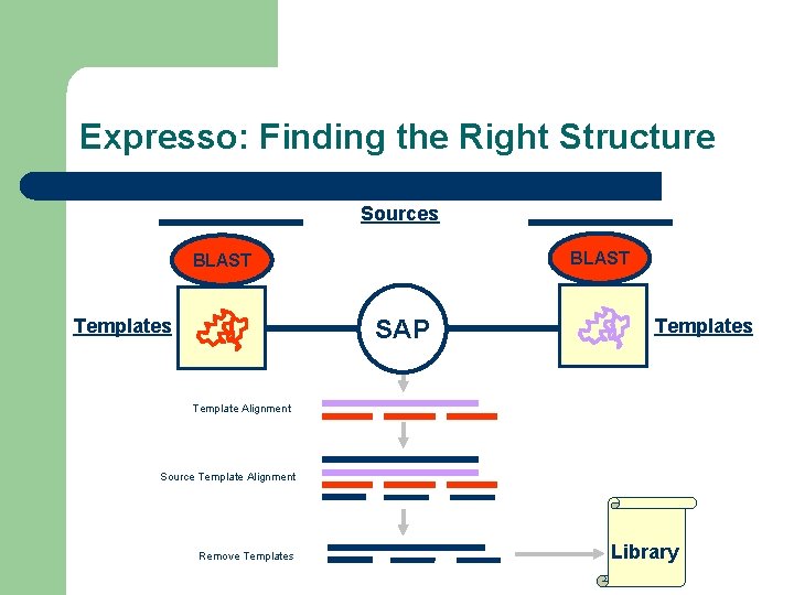 Expresso: Finding the Right Structure Sources BLAST SAP Templates Template Alignment Source Template Alignment