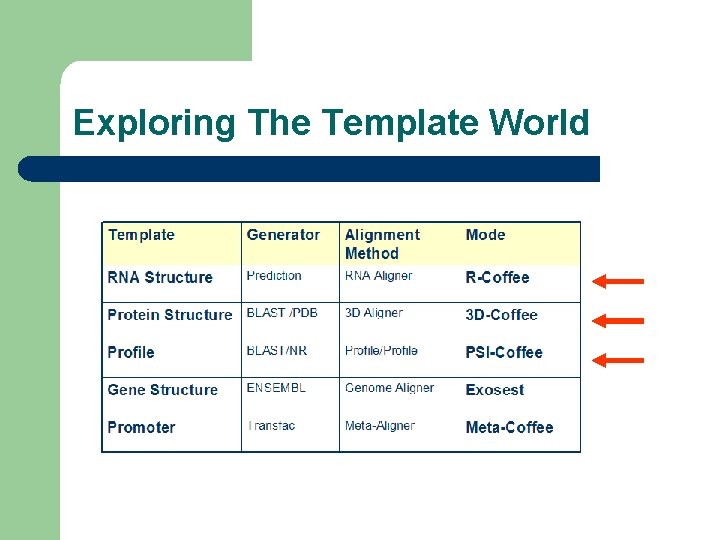 Exploring The Template World 
