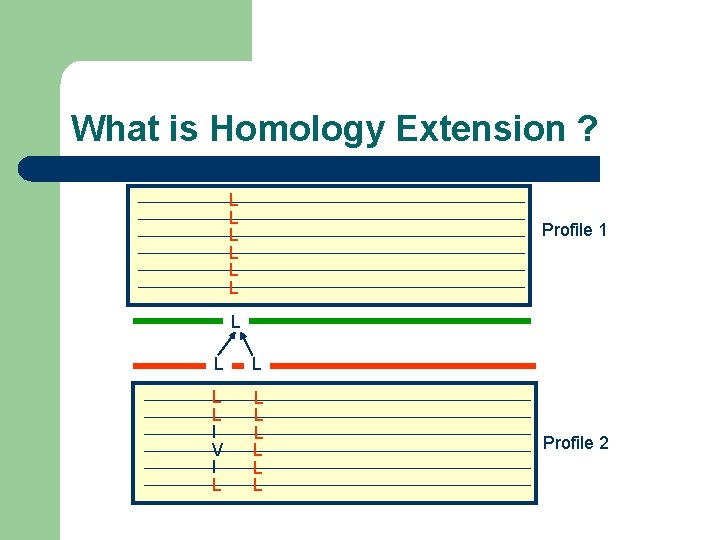 What is Homology Extension ? L L L Profile 1 L L L I