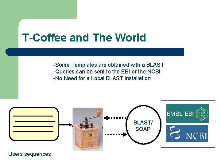 T-Coffee and The World -Some Templates are obtained with a BLAST -Queries can be