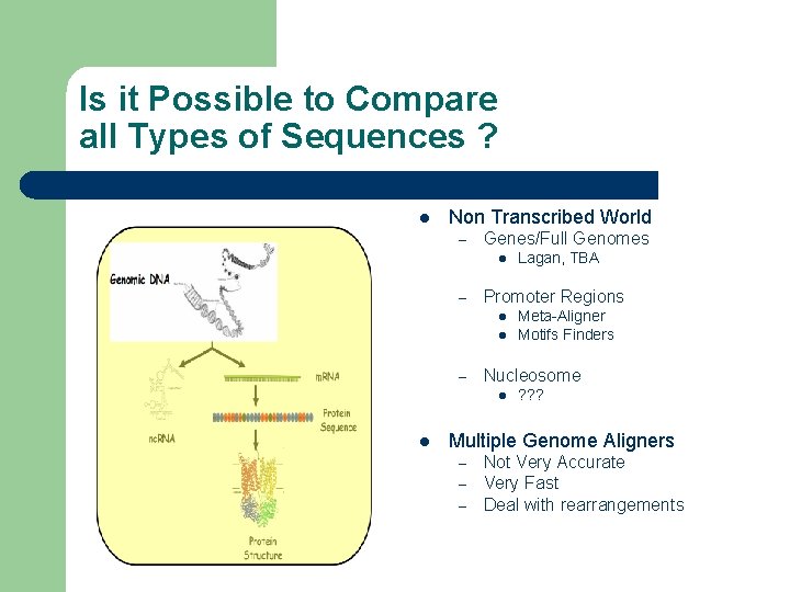 Is it Possible to Compare all Types of Sequences ? l Non Transcribed World