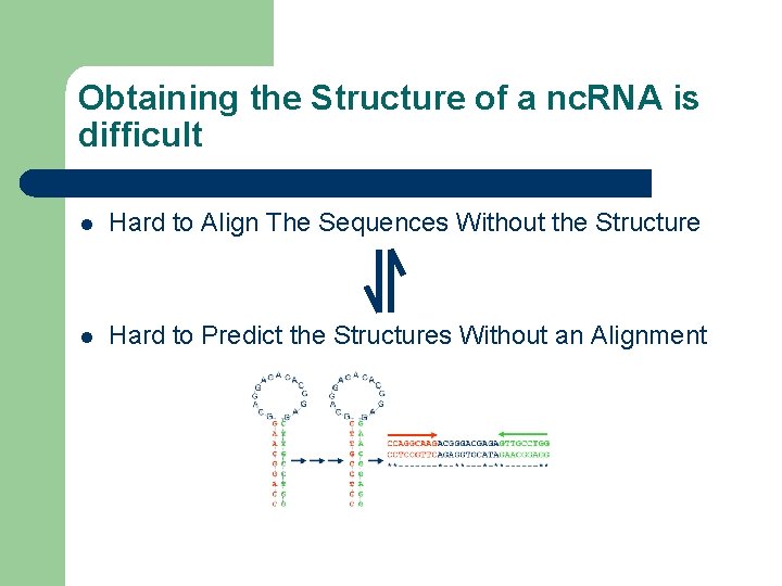 Obtaining the Structure of a nc. RNA is difficult l Hard to Align The