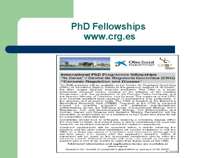 Ph. D Fellowships www. crg. es 