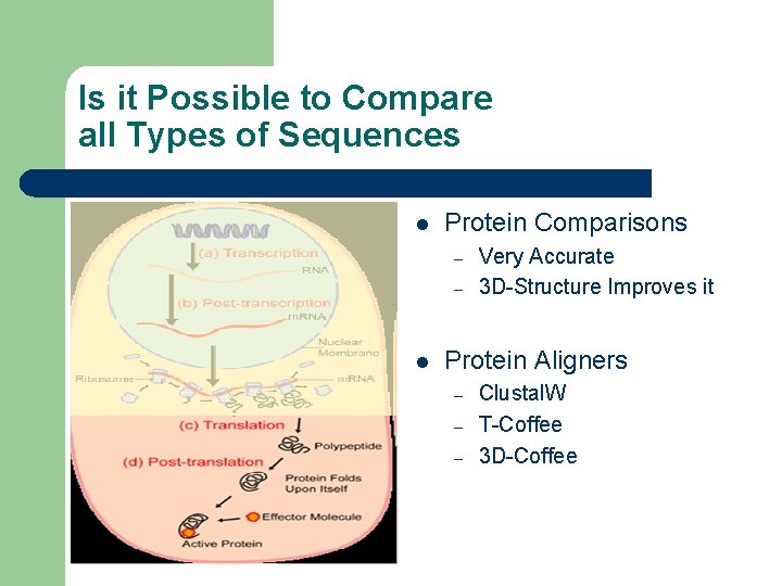 Is it Possible to Compare all Types of Sequences l Protein Comparisons – –