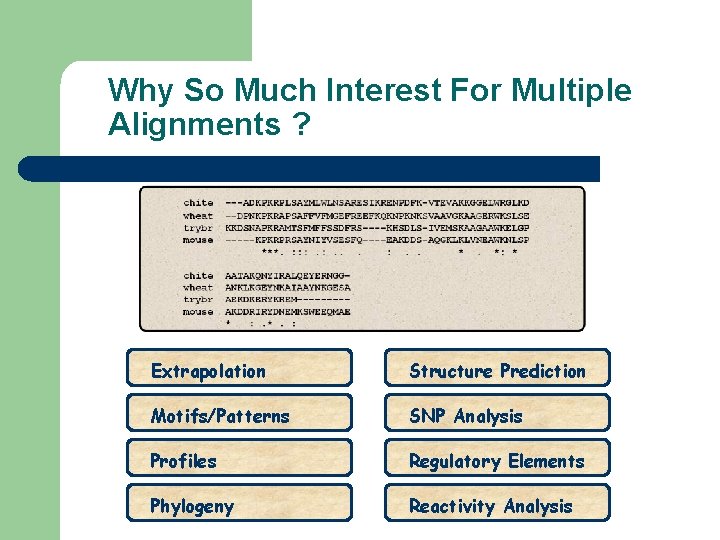 Why So Much Interest For Multiple Alignments ? Extrapolation Structure Prediction Motifs/Patterns SNP Analysis