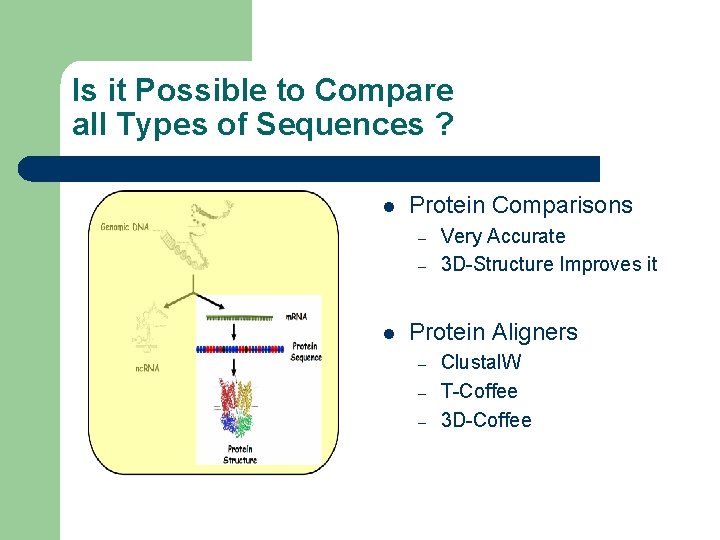 Is it Possible to Compare all Types of Sequences ? l Protein Comparisons –