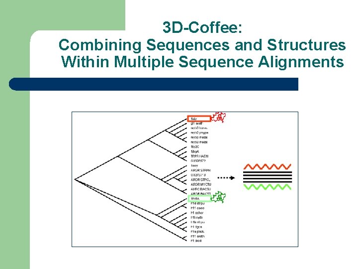 3 D-Coffee: Combining Sequences and Structures Within Multiple Sequence Alignments 