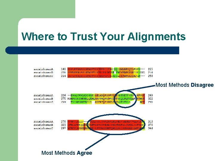 Where to Trust Your Alignments Most Methods Disagree Most Methods Agree 