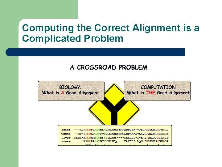 Computing the Correct Alignment is a Complicated Problem 