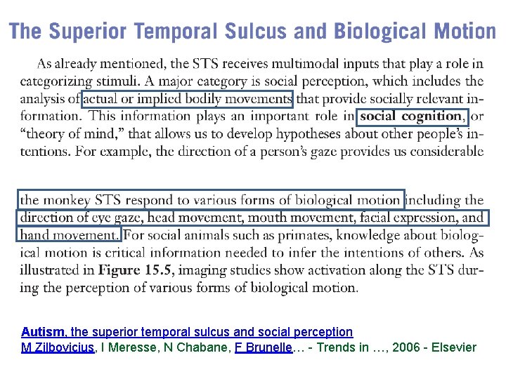 Autism, the superior temporal sulcus and social perception M Zilbovicius, I Meresse, N Chabane,