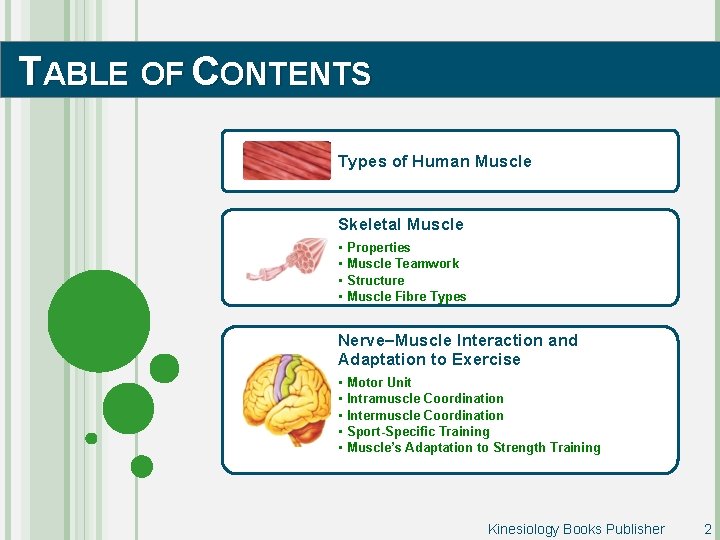 TABLE OF CONTENTS Types of Human Muscle Skeletal Muscle • • Properties Muscle Teamwork