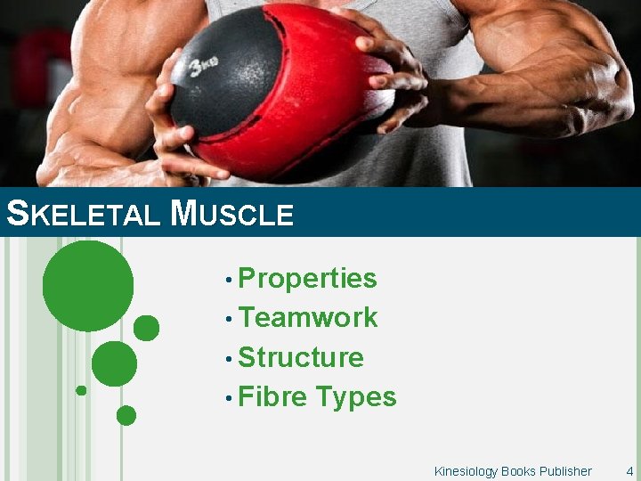 SKELETAL MUSCLE • Properties • Teamwork • Structure • Fibre Types Kinesiology Books Publisher
