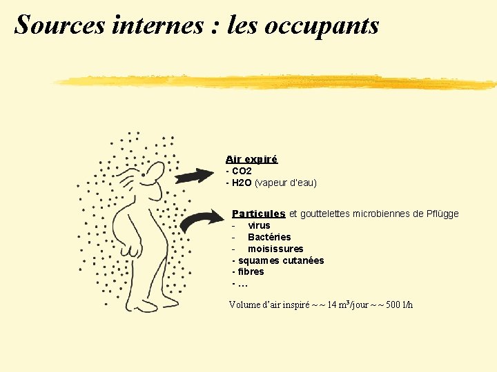 Sources internes : les occupants Air expiré - CO 2 - H 2 O