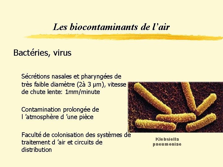 Les biocontaminants de l’air Bactéries, virus Sécrétions nasales et pharyngées de très faible diamètre