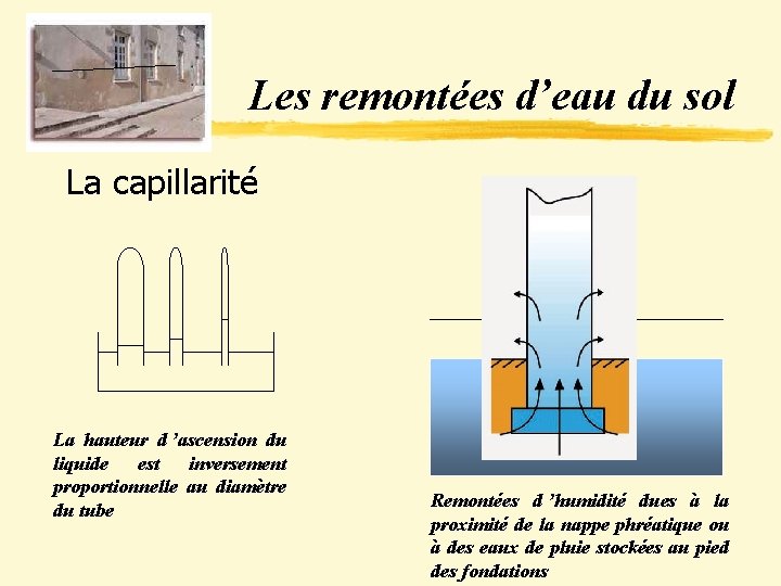 Les remontées d’eau du sol La capillarité La hauteur d ’ascension du liquide est