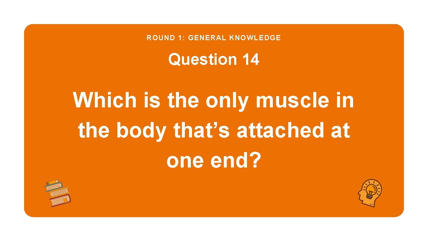 ROUND 1: GENERAL KNOWLEDGE Question 14 Which is the only muscle in the body