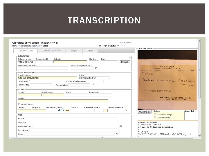 TRANSCRIPTION 