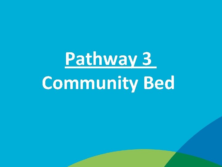 Pathway 3 Community Bed 