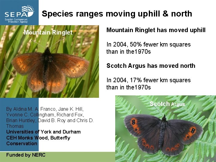 Species ranges moving uphill & north Mountain Ringlet has moved uphill In 2004, 50%