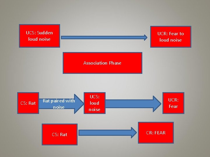 UCS: Sudden loud noise UCR: Fear to loud noise Association Phase CS: Rat paired