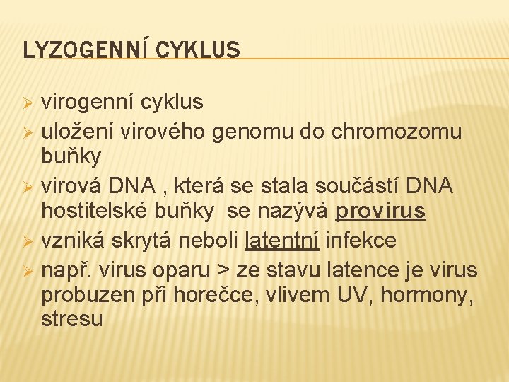 LYZOGENNÍ CYKLUS virogenní cyklus Ø uložení virového genomu do chromozomu buňky Ø virová DNA