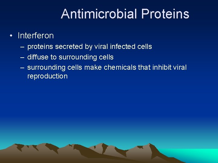 Antimicrobial Proteins • Interferon – proteins secreted by viral infected cells – diffuse to