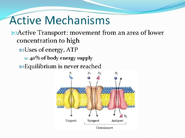 Active Mechanisms Active Transport: movement from an area of lower concentration to high Uses