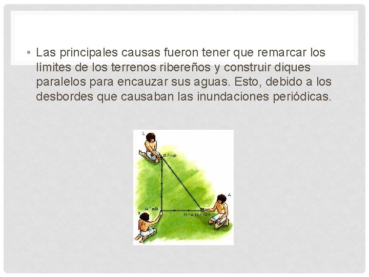  • Las principales causas fueron tener que remarcar los límites de los terrenos