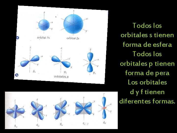 Todos los orbitales s tienen forma de esfera Todos los orbitales p tienen forma