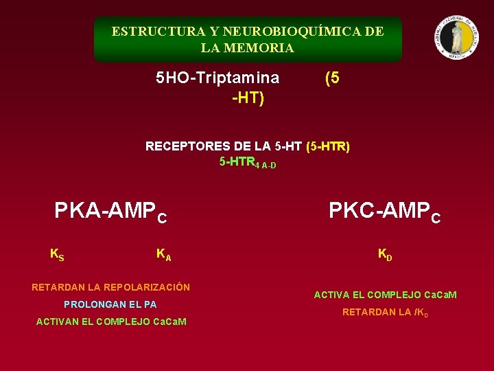 ESTRUCTURA Y NEUROBIOQUÍMICA DE LA MEMORIA 5 HO-Triptamina -HT) (5 RECEPTORES DE LA 5