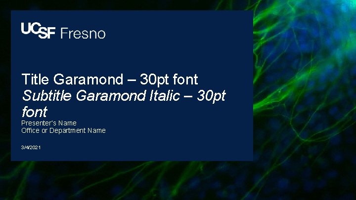 Title Garamond – 30 pt font Subtitle Garamond Italic – 30 pt font Presenter’s