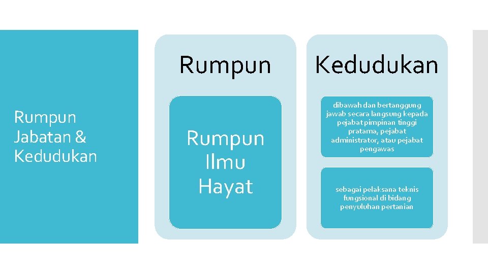 Rumpun Jabatan & Kedudukan Rumpun Ilmu Hayat Kedudukan dibawah dan bertanggung jawab secara langsung