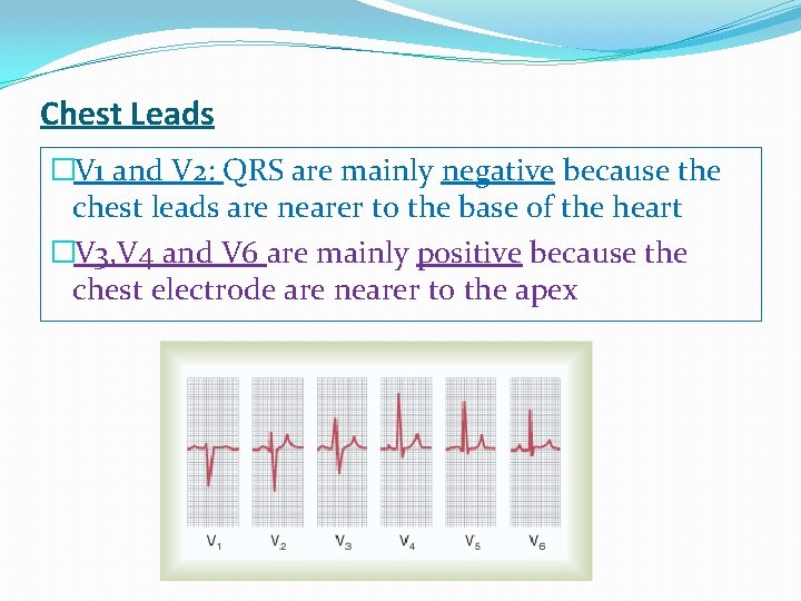 Chest Leads �V 1 and V 2: QRS are mainly negative because the chest