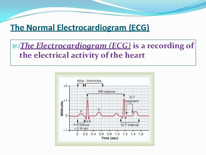 The Normal Electrocardiogram (ECG) The Electrocardiogram (ECG) is a recording of the electrical activity