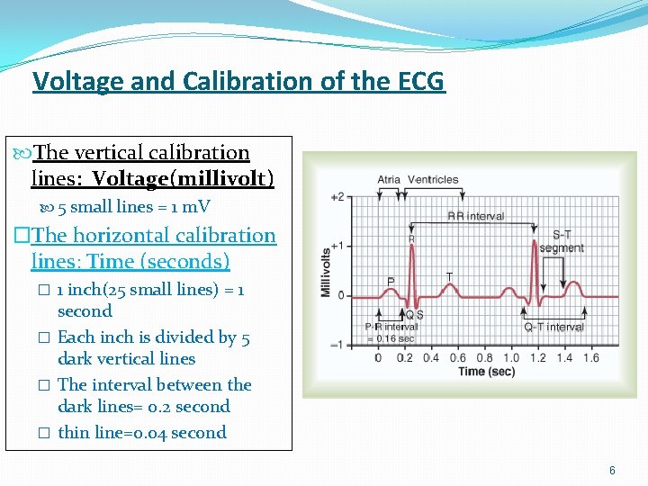 Cardiovascular System Block The Electrocardiogram ECG Dr Mona