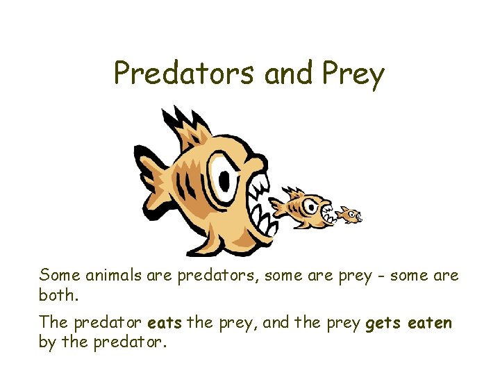 Predators and Prey Some animals are predators, some are prey - some are both.