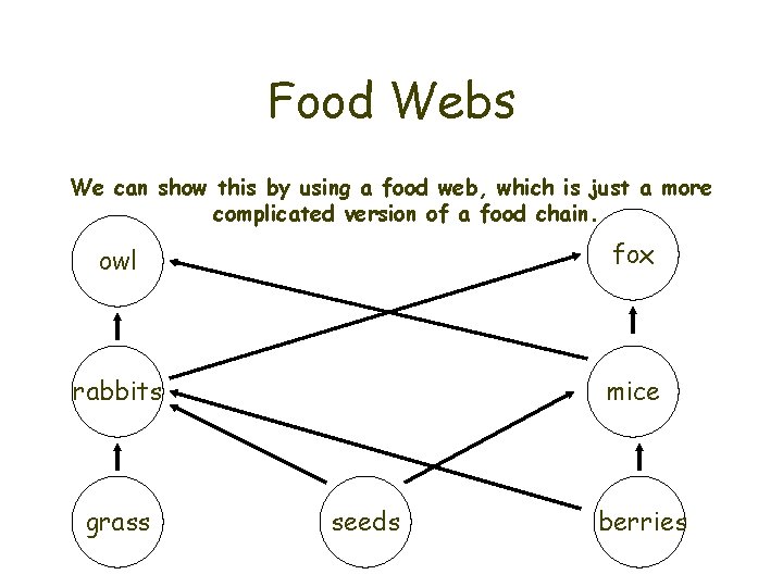 Food Webs We can show this by using a food web, which is just