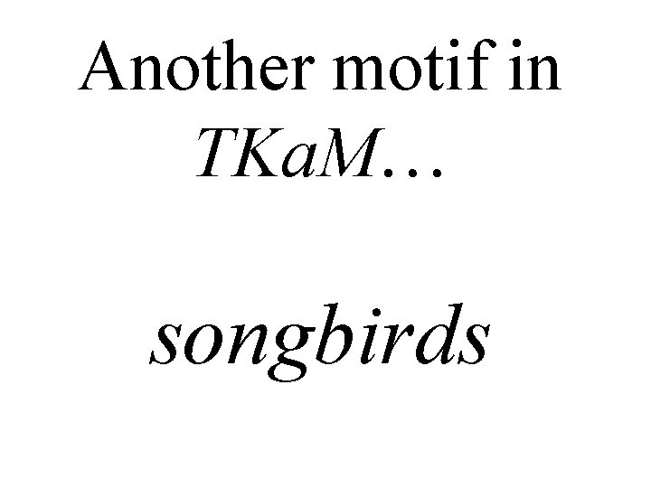 Another motif in TKa. M… songbirds 