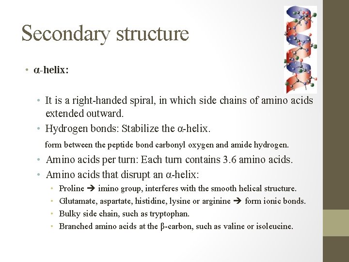 Secondary structure • α-helix: • It is a right-handed spiral, in which side chains