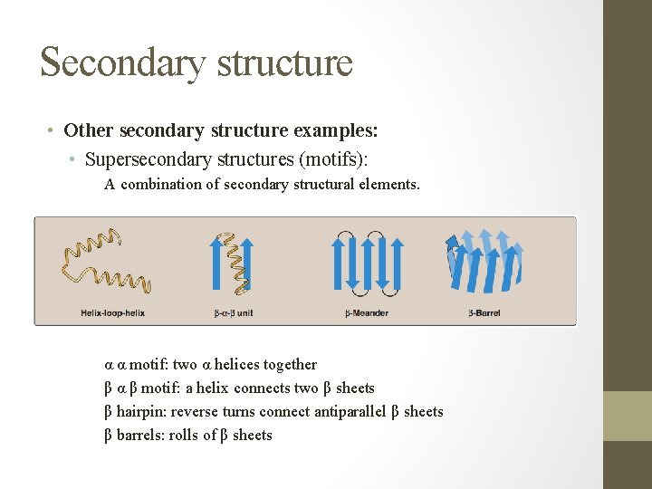 Secondary structure • Other secondary structure examples: • Supersecondary structures (motifs): A combination of