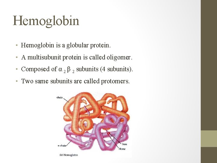 Hemoglobin • Hemoglobin is a globular protein. • A multisubunit protein is called oligomer.