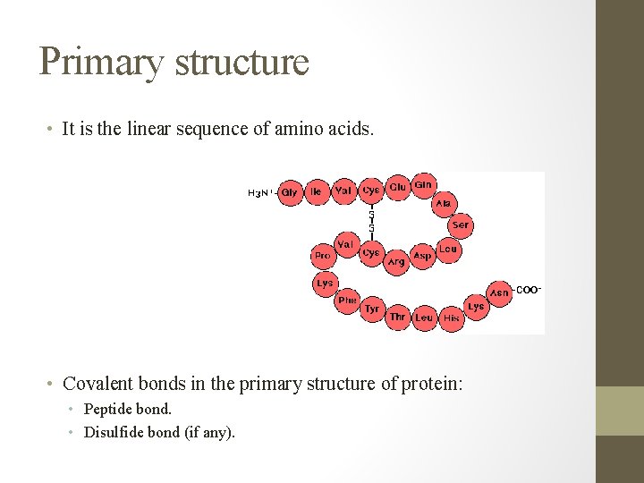 Primary structure • It is the linear sequence of amino acids. • Covalent bonds